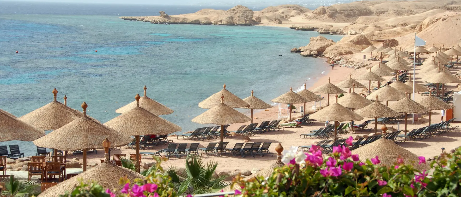 Tropical beach view with umbrellas, lounge chairs, clear water, and rocky shore, framed by colorful flowers in the foreground.