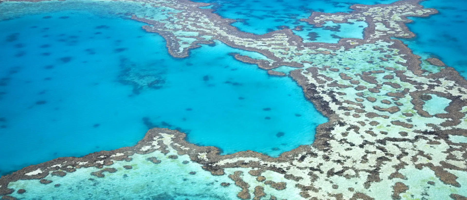 Australia Aerial view of the Great Barrier Reef in Australia