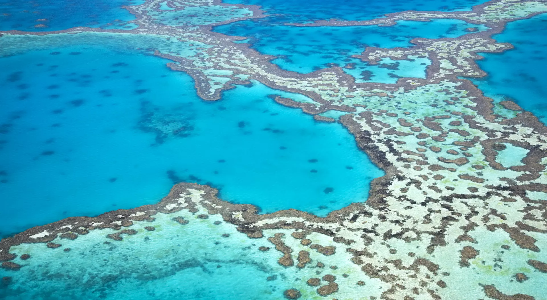 Australia Aerial view of the Great Barrier Reef in Australia