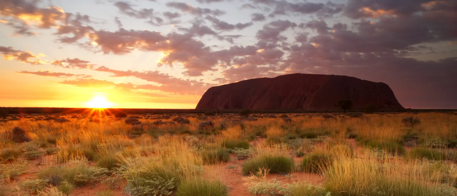 Australia Uluru Dawn Northern Territory