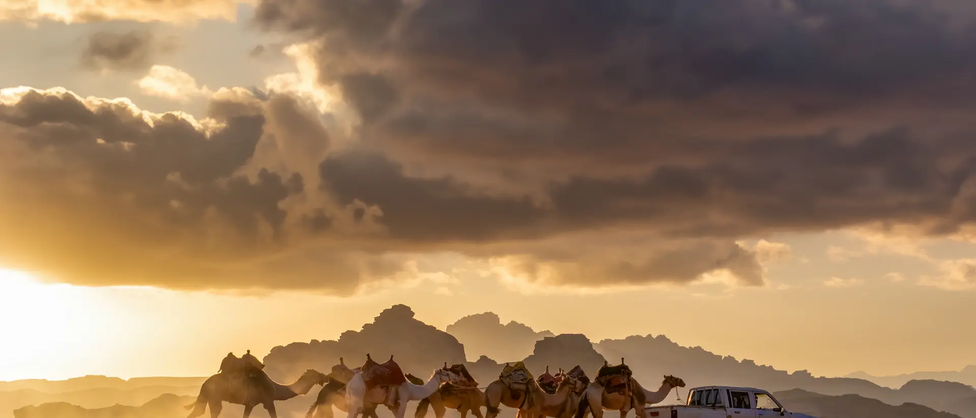 A caravan of camels walking through a desert at sunset, alongside a parked white vehicle against a backdrop of mountains.