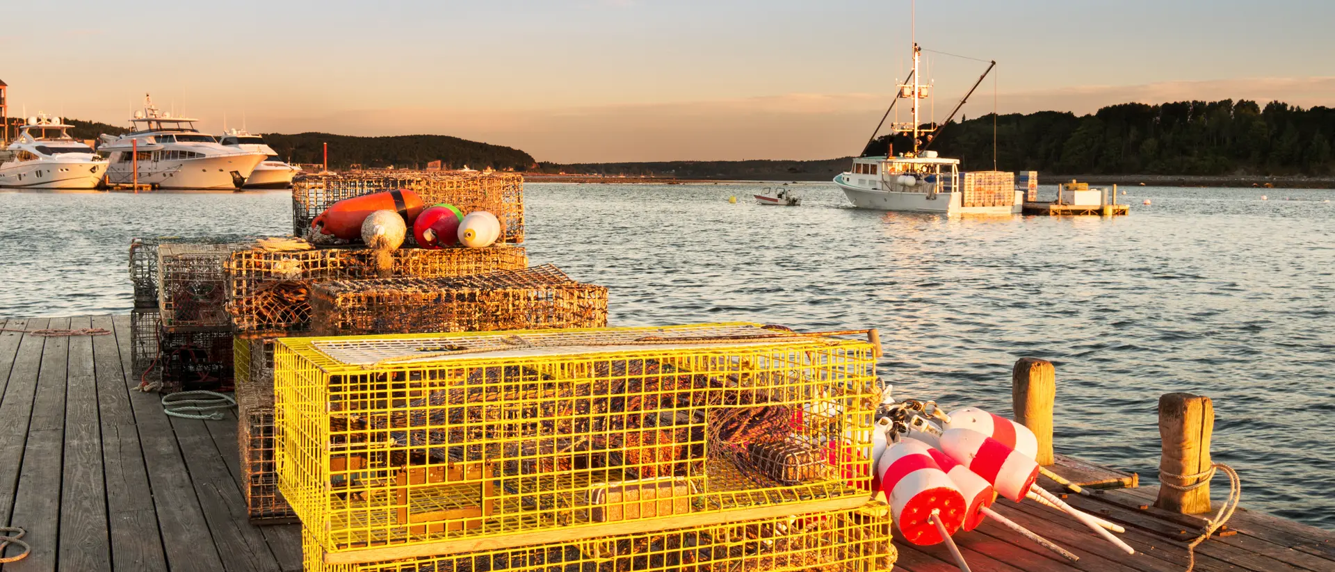 Cape Porpoise Pier in Maine Harbor with lobster traps in foreground and Lobster boats in background