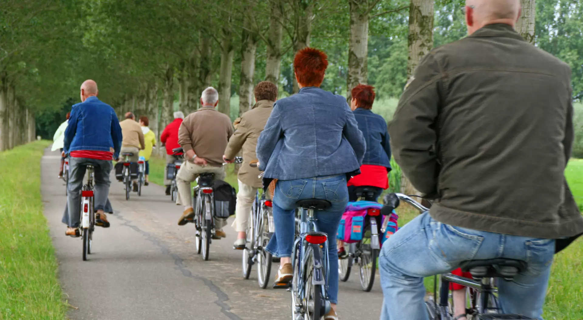 A group of people riding bicycles along a tree-lined path, viewed from behind.