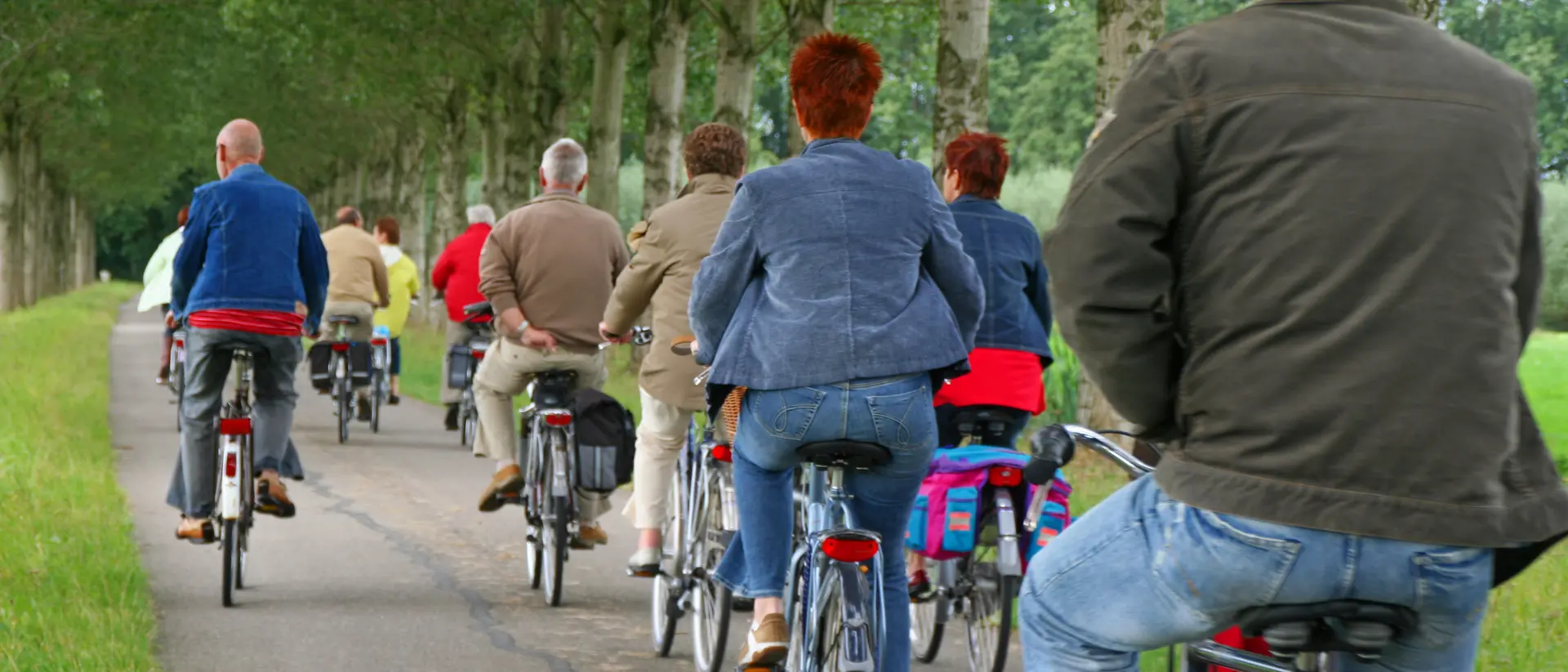 A group of people riding bicycles along a tree-lined path, viewed from behind.