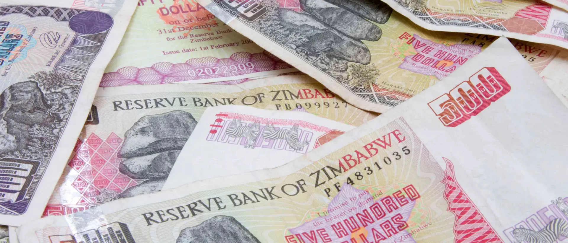 A close-up of various Zimbabwean banknotes, including a prominent five hundred dollar note, arranged on a flat surface.