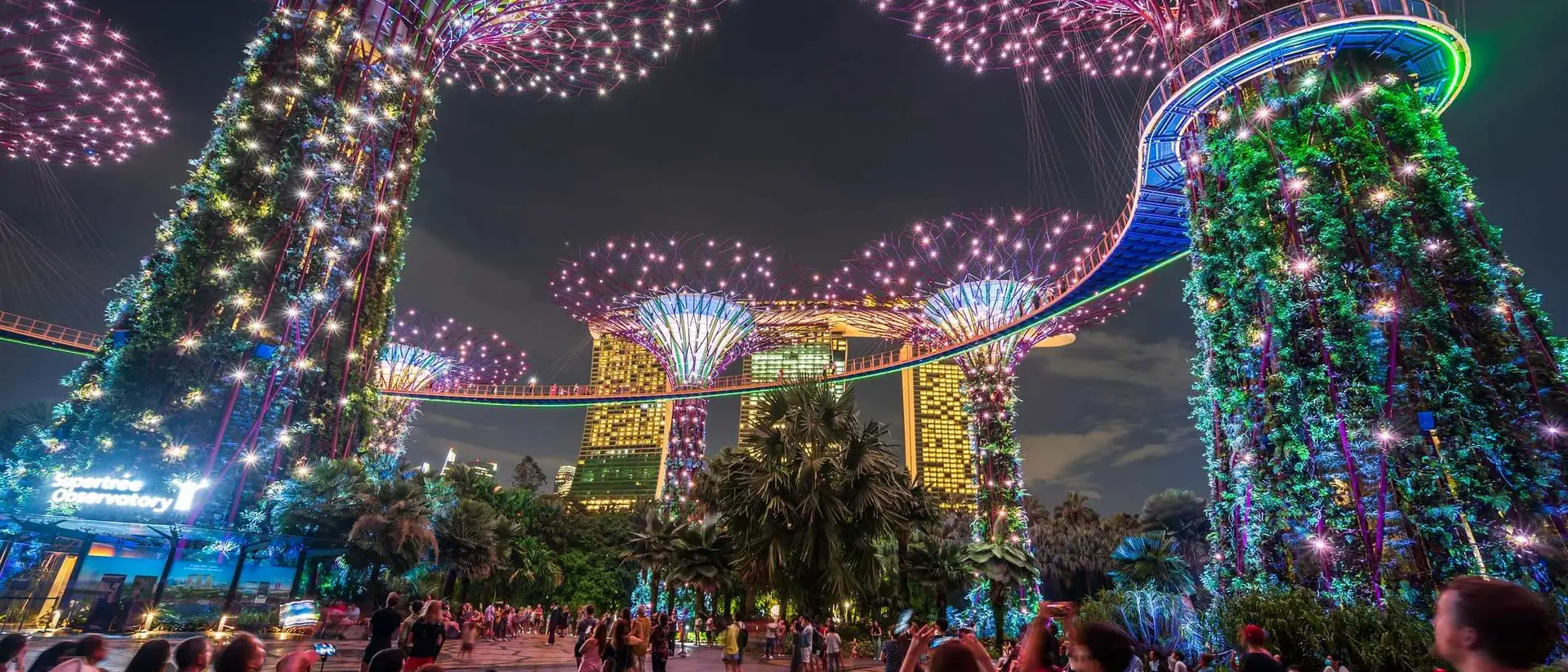 Illuminated Supertree Grove in Singapore at night, with a crowd enjoying the vibrant light display among lush greenery.