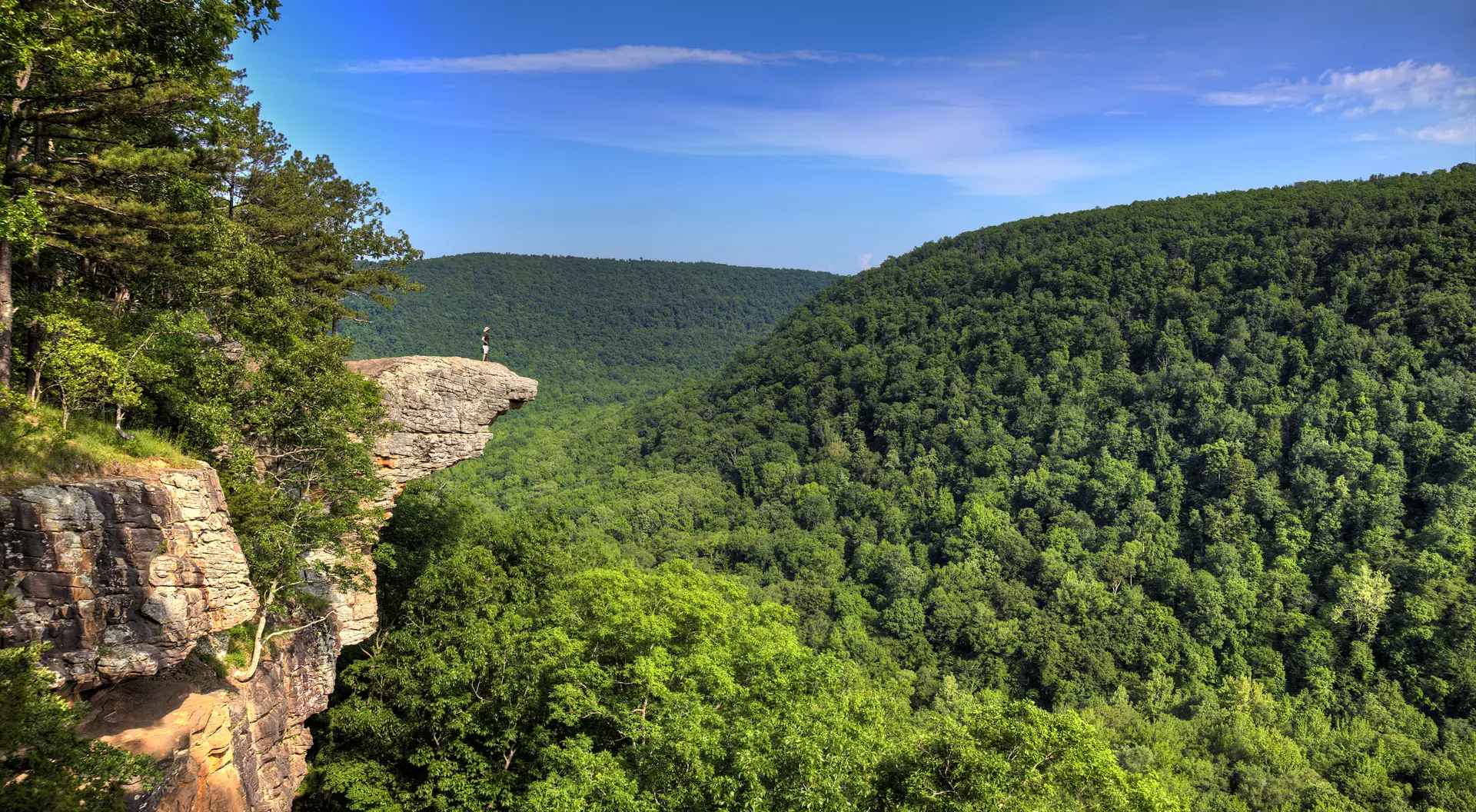 Whitaker's Point Trail A male hiker stands on the edge of the Hawksbill Crag in Arkansas and enjoys the view standing hundreds of feet above the Ozark mountains forest below.