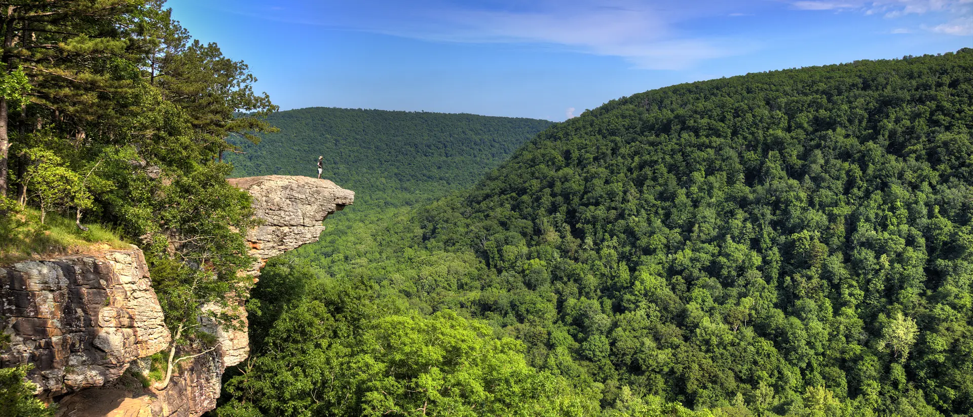 Whitaker's Point Trail A male hiker stands on the edge of the Hawksbill Crag in Arkansas and enjoys the view standing hundreds of feet above the Ozark mountains forest below.