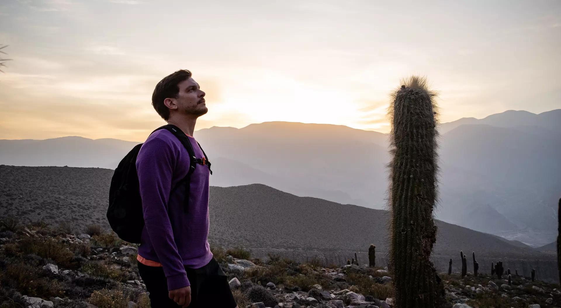 A man stands in a rocky landscape, gazing up at a sunset behind distant mountains and cacti.