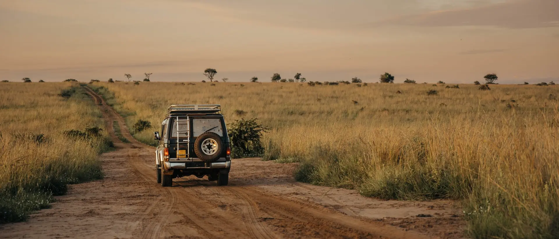 A four-wheel drive vehicle on a dirt path in a grassy savanna at sunset.