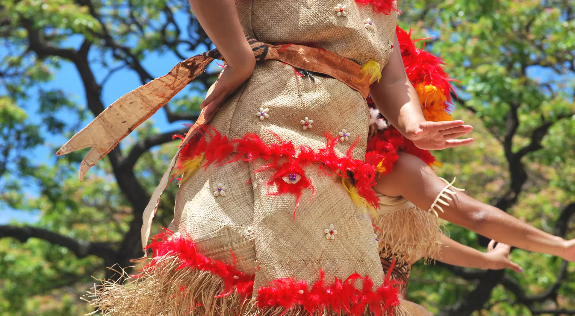 Details of a Polynesian costume