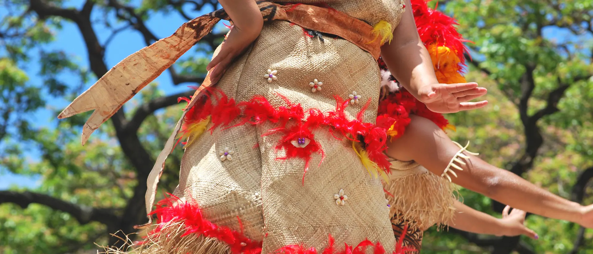 Traditional Samoan Outfit Details of a Polynesian costume
