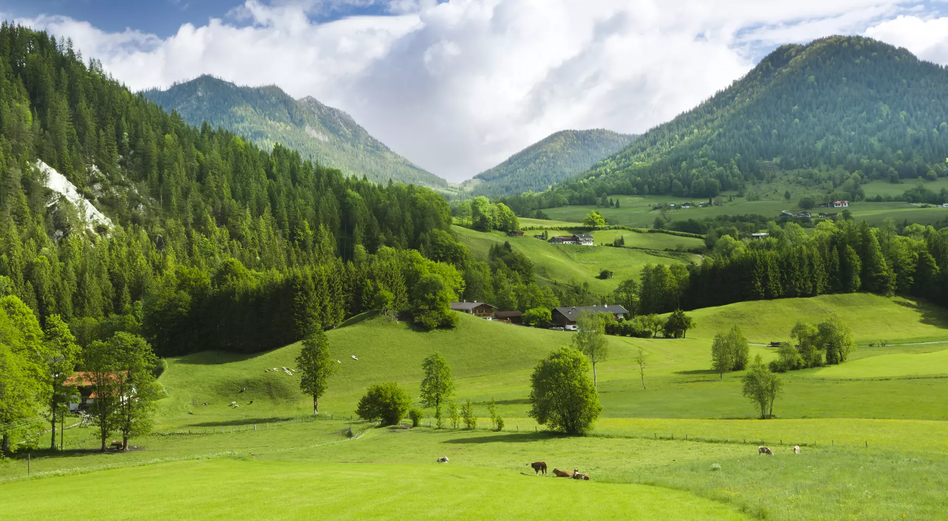 Lush green valley with rolling hills and mountains under a partly cloudy sky, featuring trees and grazing cattle.