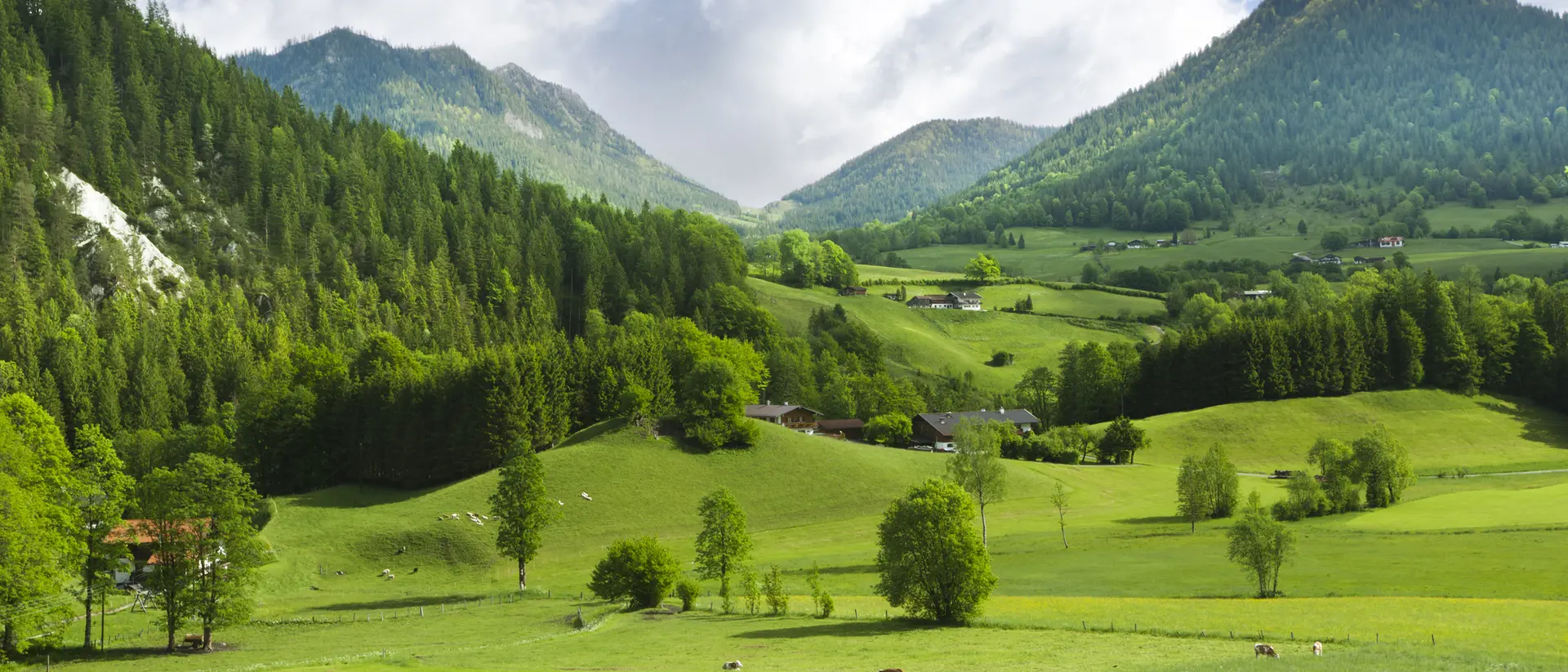 Lush green valley with rolling hills and mountains under a partly cloudy sky, featuring trees and grazing cattle.