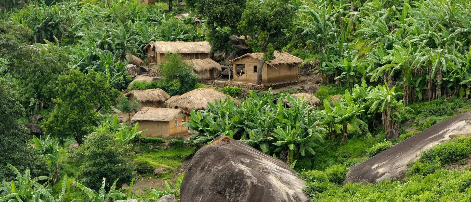 African huts in hills, among banana trees and boulders