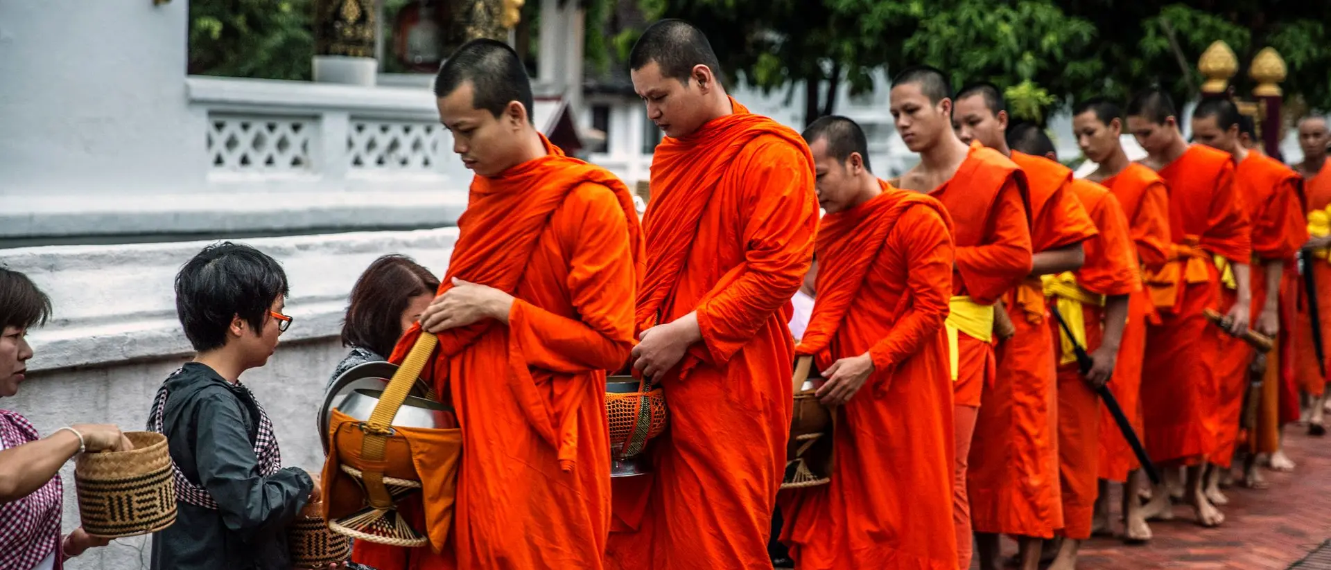 Buddhist monks in orange robes receive alms from followers in a serene outdoor setting.
