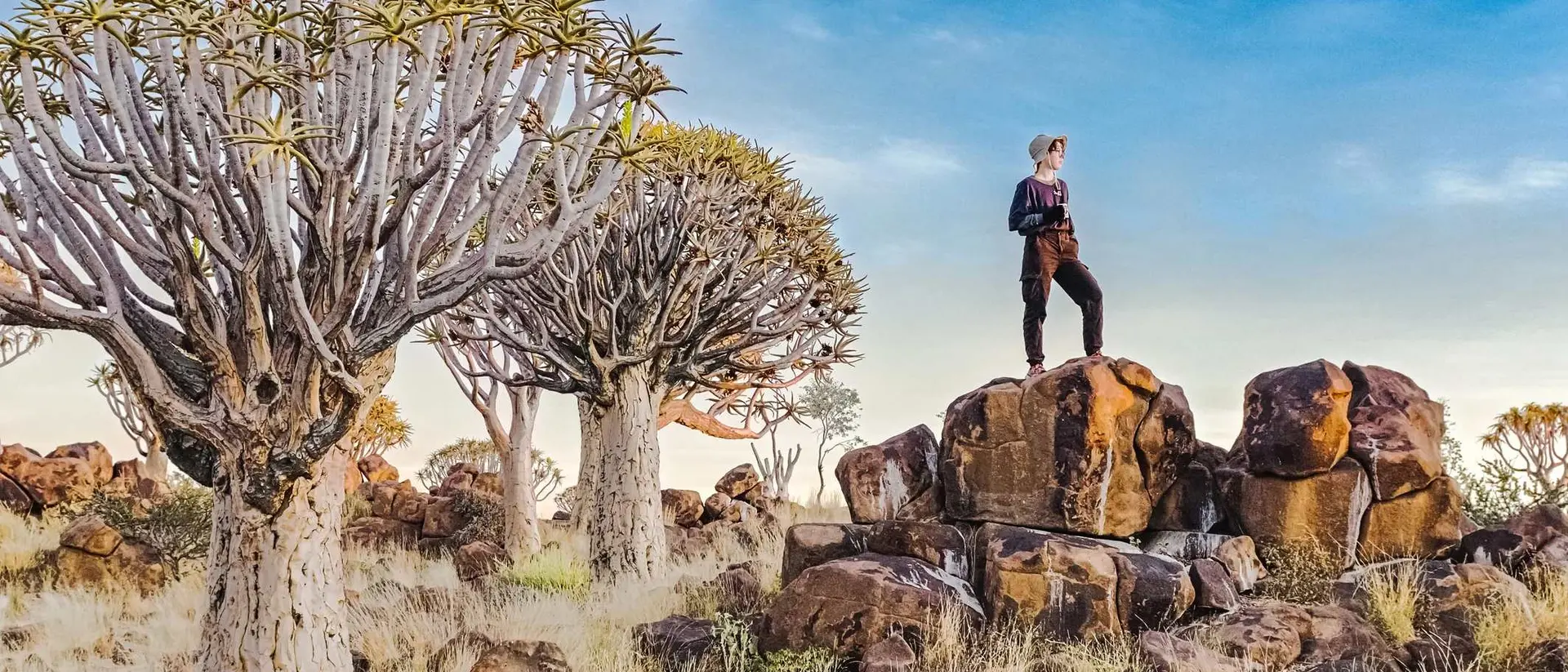 A person stands on a rock among unique trees in a grassy landscape under a blue sky.