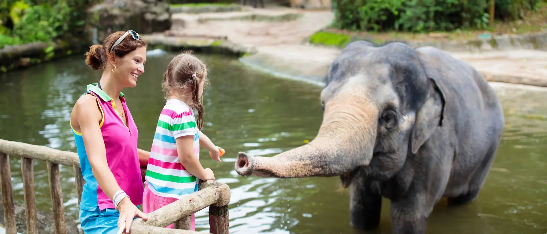 A mother and daughter watch an elephant reaching toward them at a zoo, with lush greenery in the background.