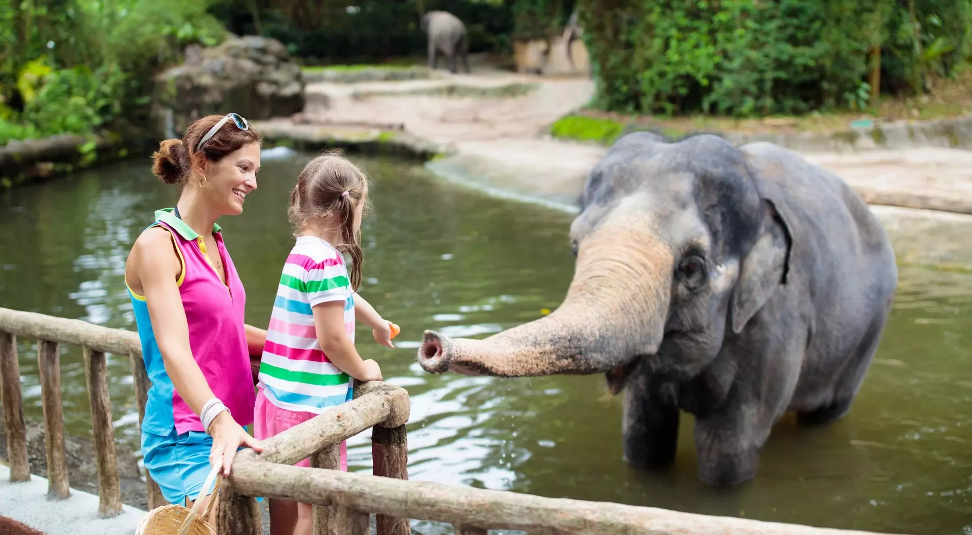 A mother and daughter watch an elephant reaching toward them at a zoo, with lush greenery in the background.