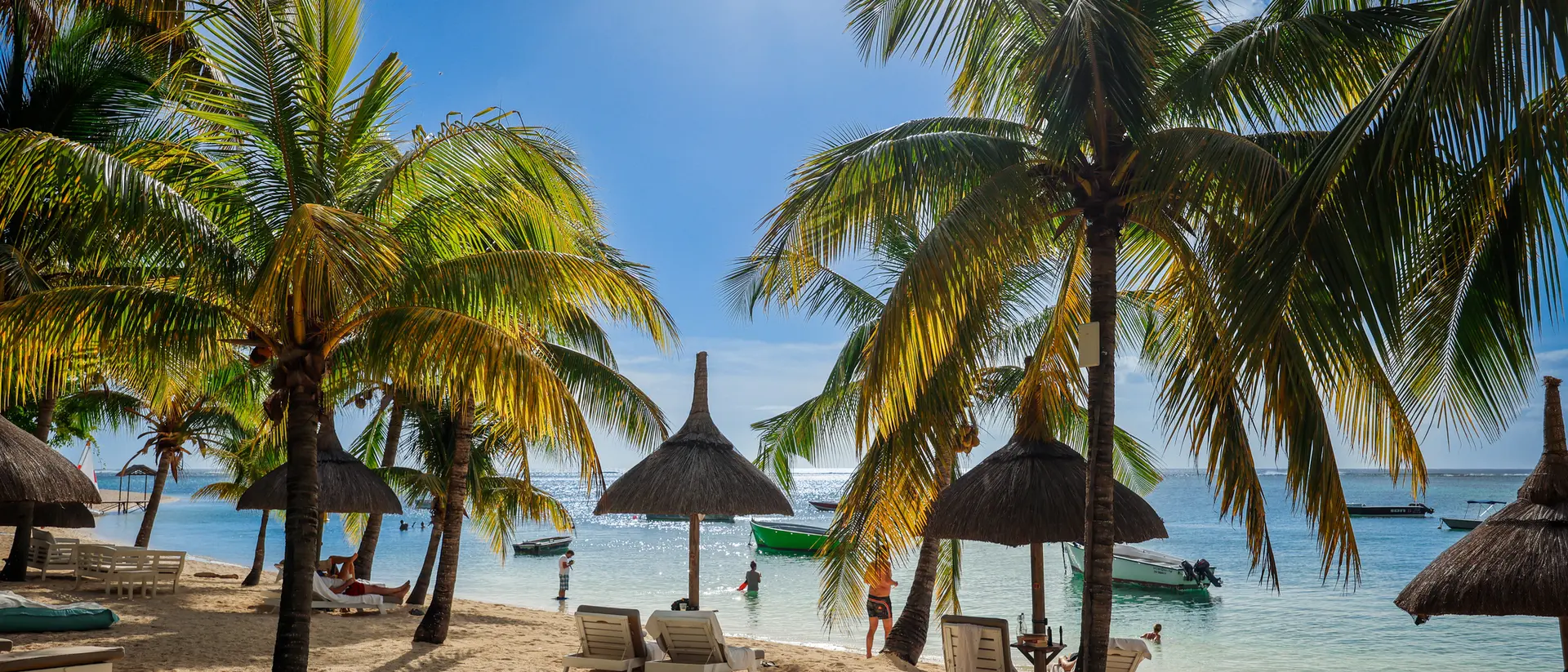 Tropical beach scene with palm trees, thatched umbrellas, and people enjoying the sunny day by the water.