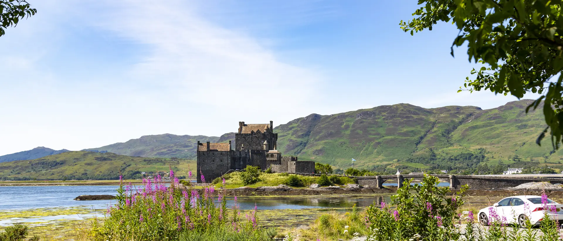 A medieval castle by a lake, surrounded by green hills and wildflowers under a clear blue sky.