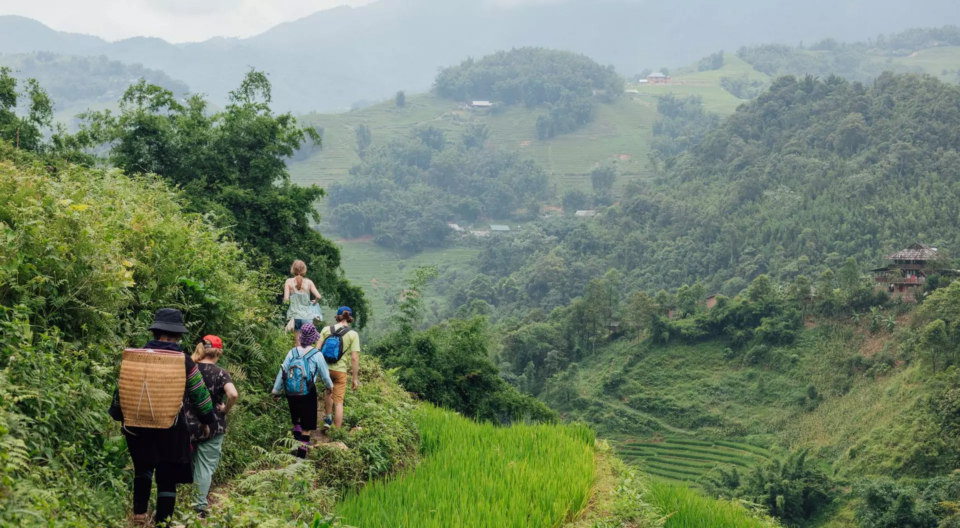 Group of hikers walking along a narrow path through lush green rice terraces with mountains in the background.
