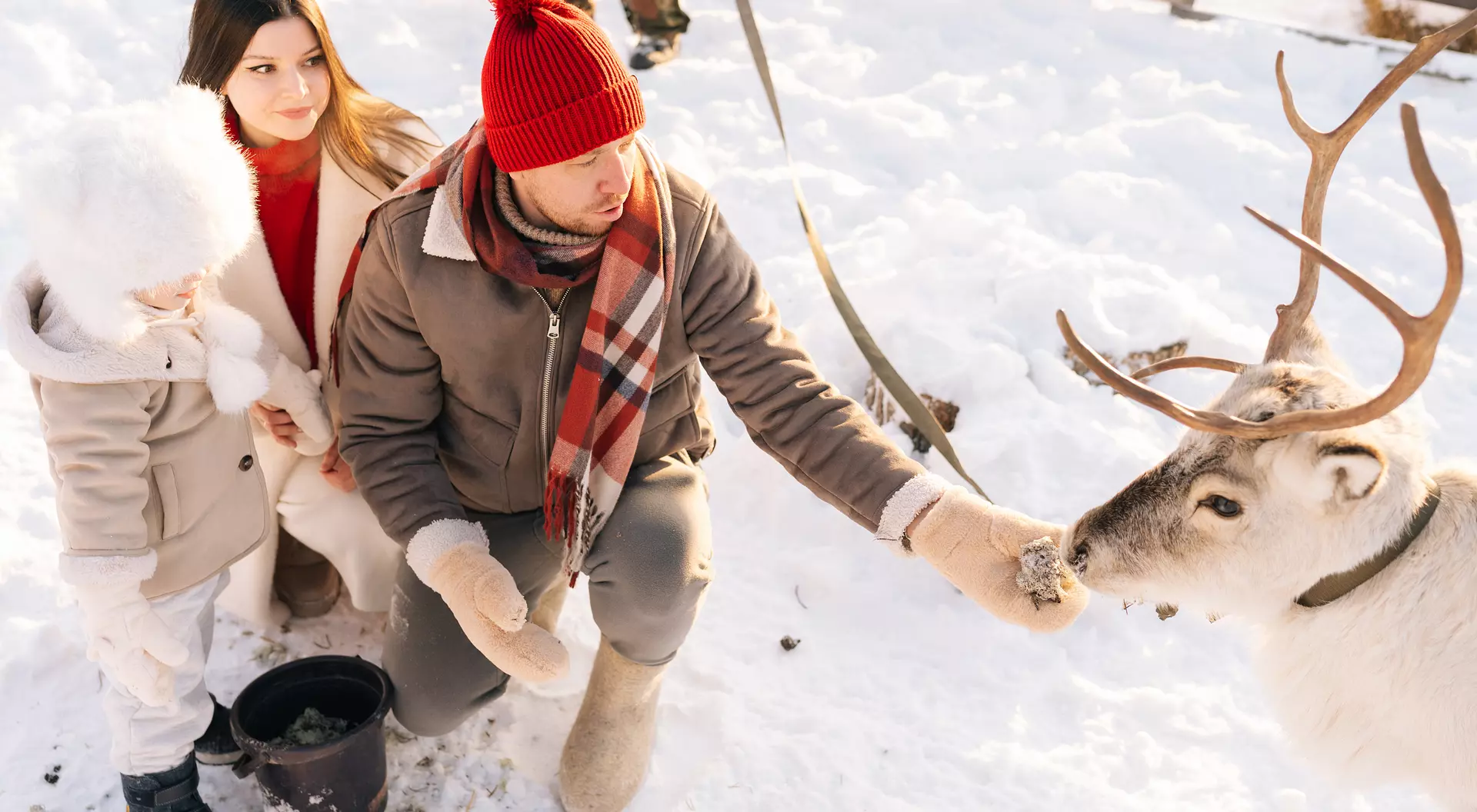 A man and woman with a child feed a reindeer in a snowy outdoor setting, wearing winter clothing.