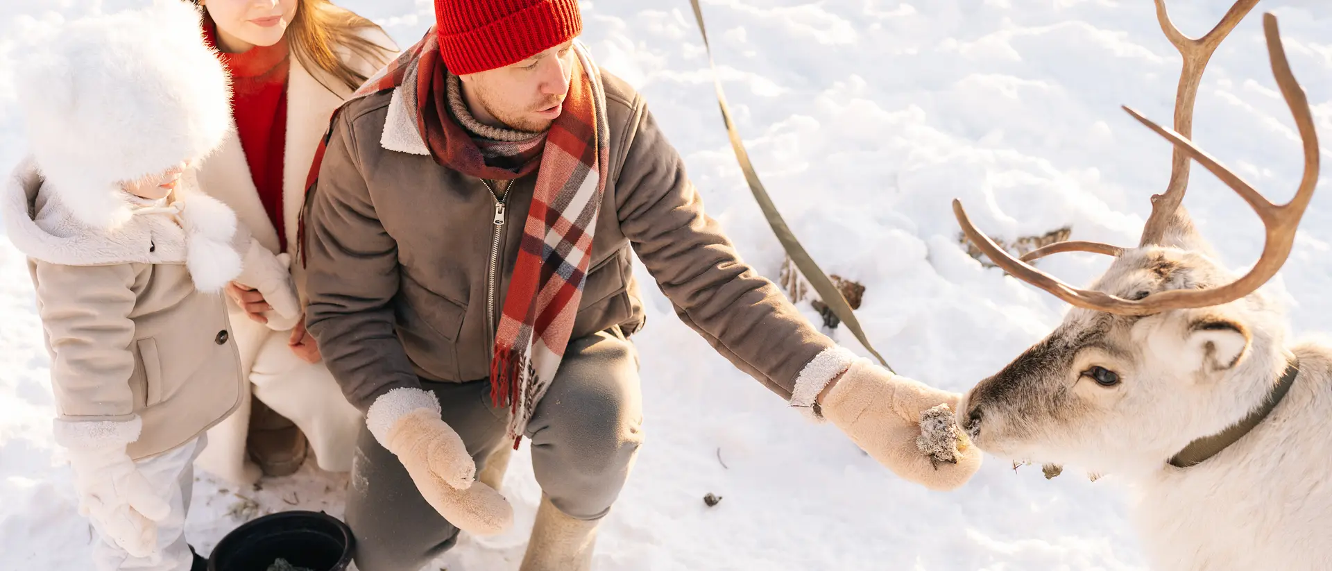 A man and woman with a child feed a reindeer in a snowy outdoor setting, wearing winter clothing.