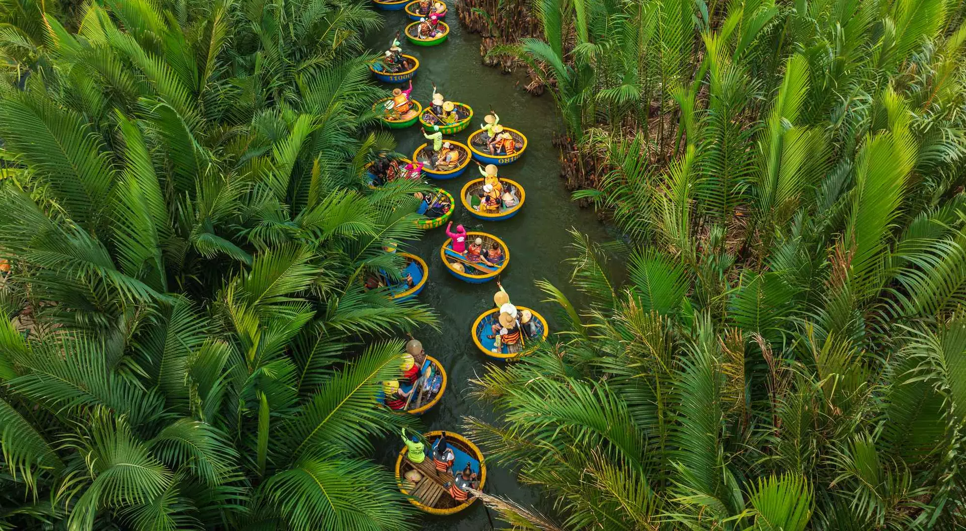 Aerial view of people in circular boats navigating a narrow waterway surrounded by lush green palm trees.