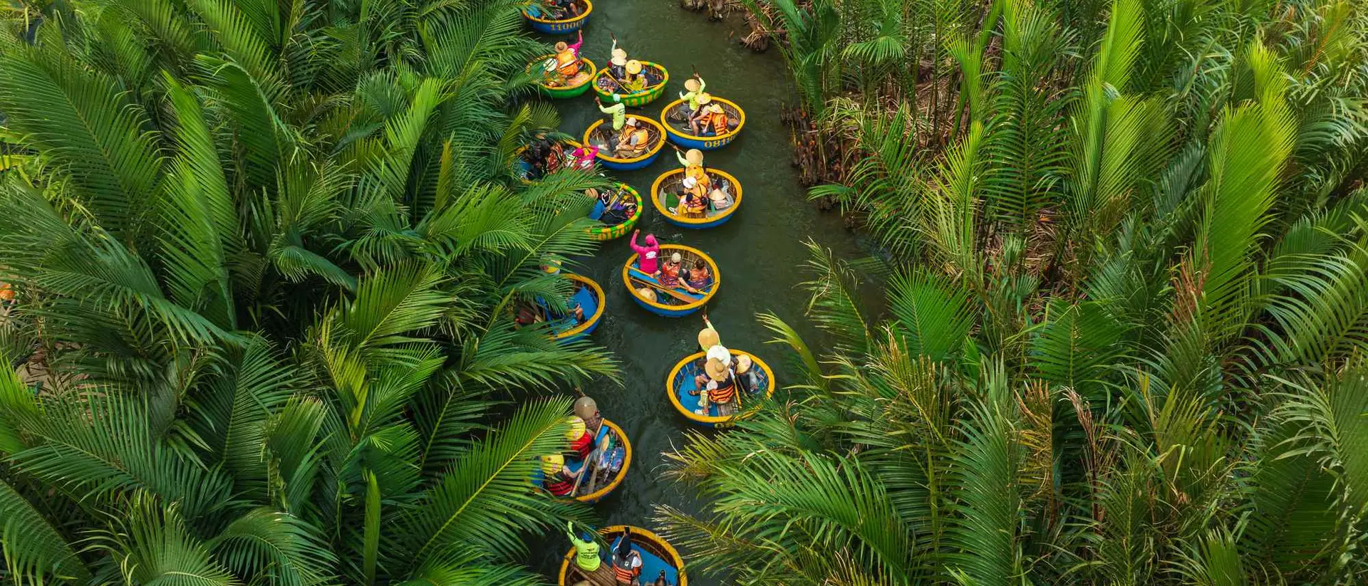 Aerial view of people in circular boats navigating a narrow waterway surrounded by lush green palm trees.