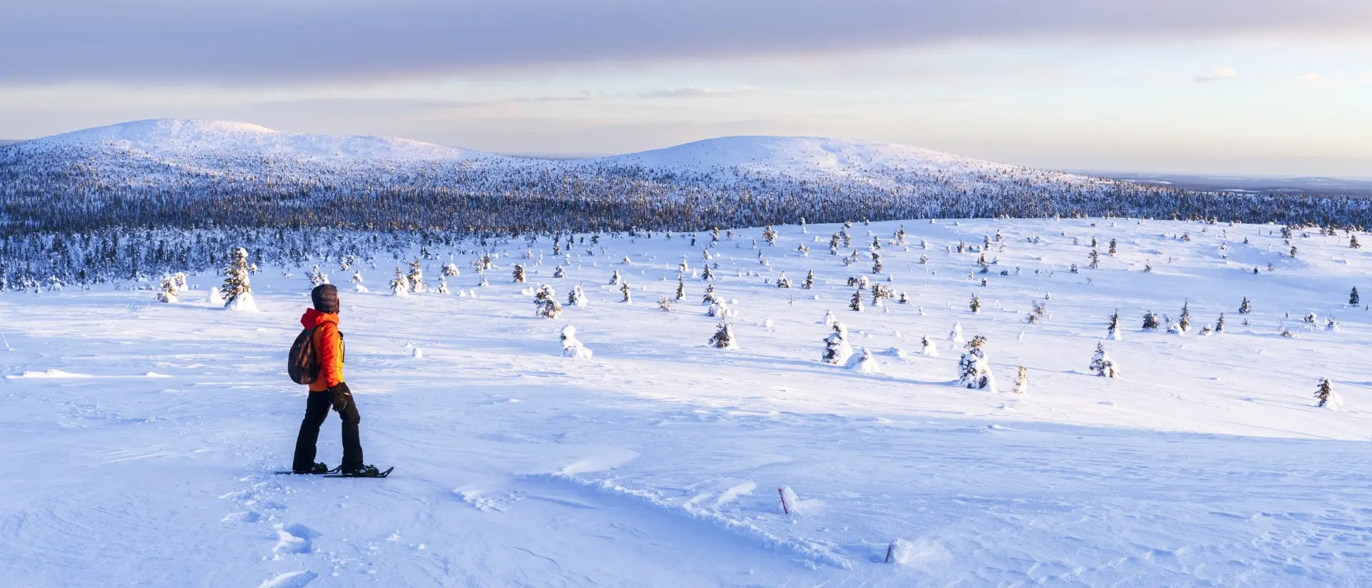 A lone person in an orange jacket snowshoes across a snowy landscape with distant hills and scattered, snow-covered trees.