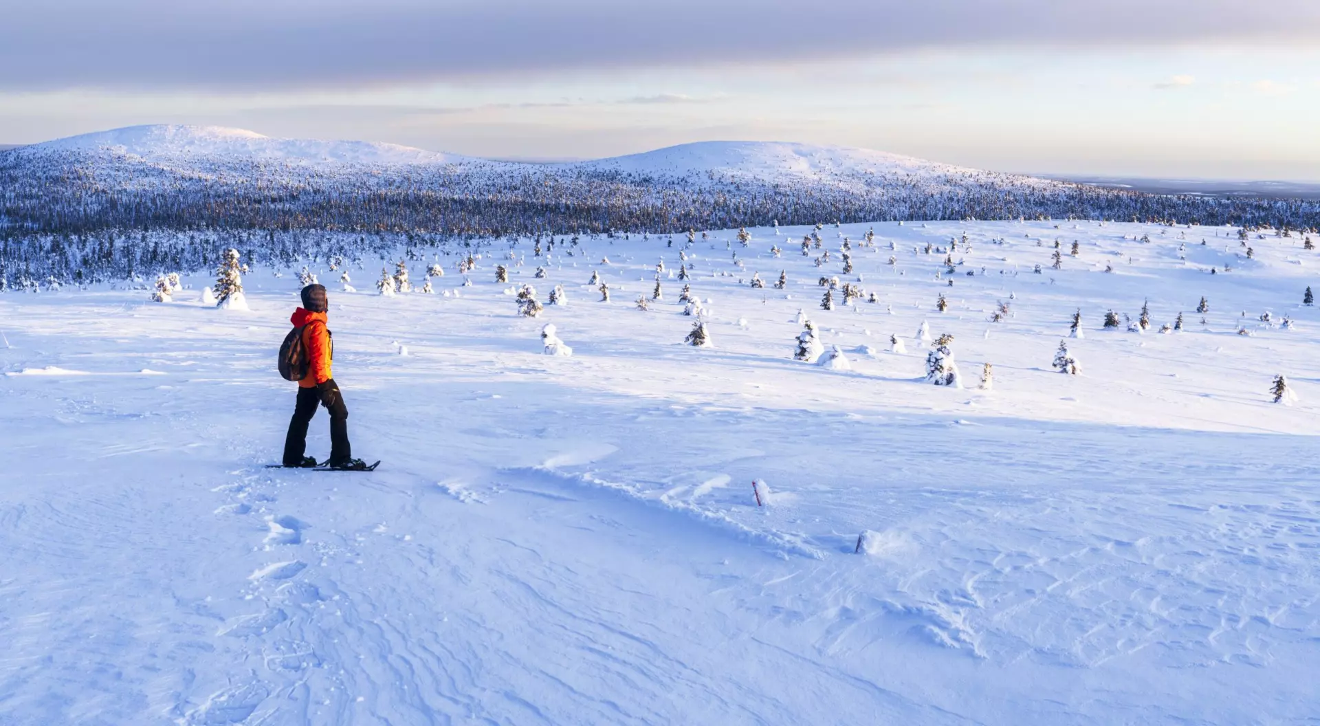 A lone person in an orange jacket snowshoes across a snowy landscape with distant hills and scattered, snow-covered trees.