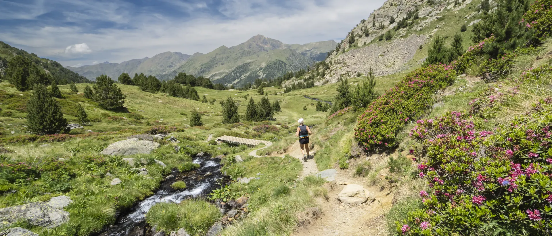 A hiker walks along a trail beside a stream, surrounded by green hills and blooming flowers under a blue sky.