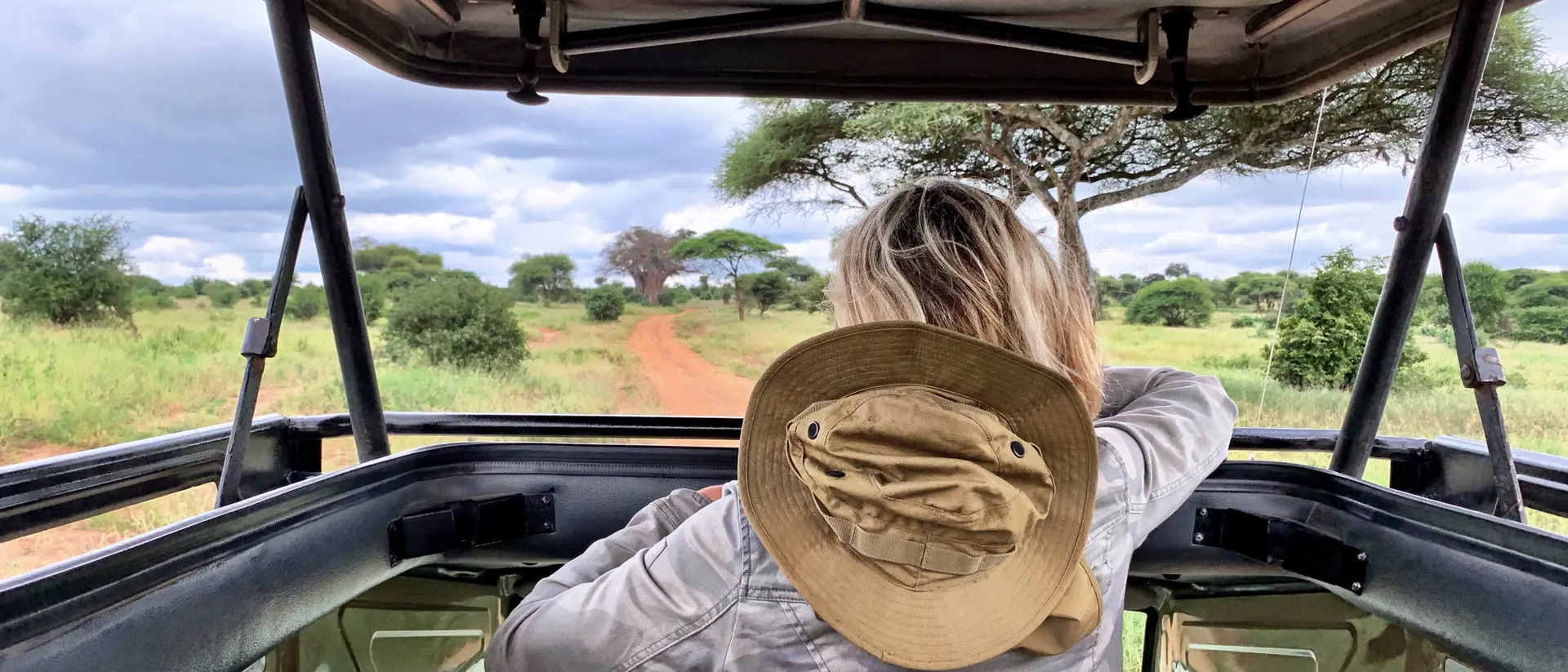 A person in a hat looks out from a safari vehicle towards a green landscape and dirt path under a cloudy sky.