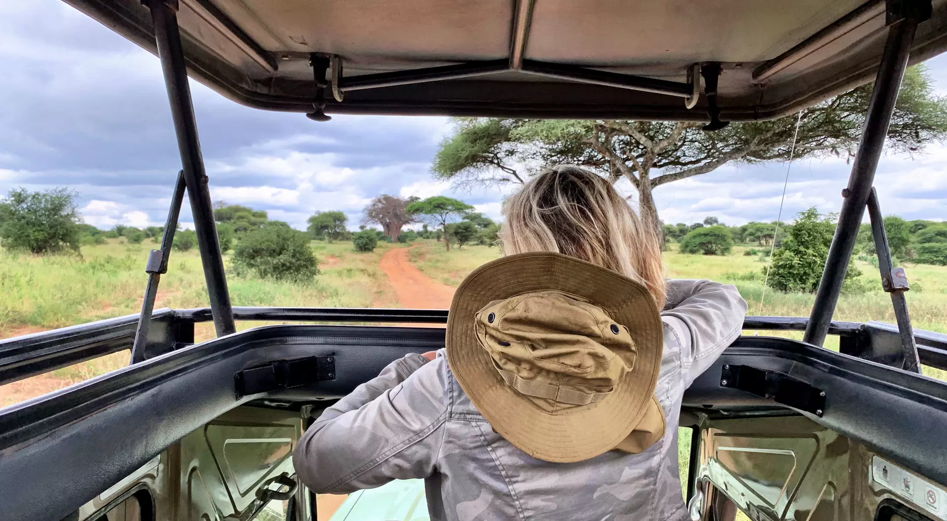 A person in a hat looks out from a safari vehicle towards a green landscape and dirt path under a cloudy sky.