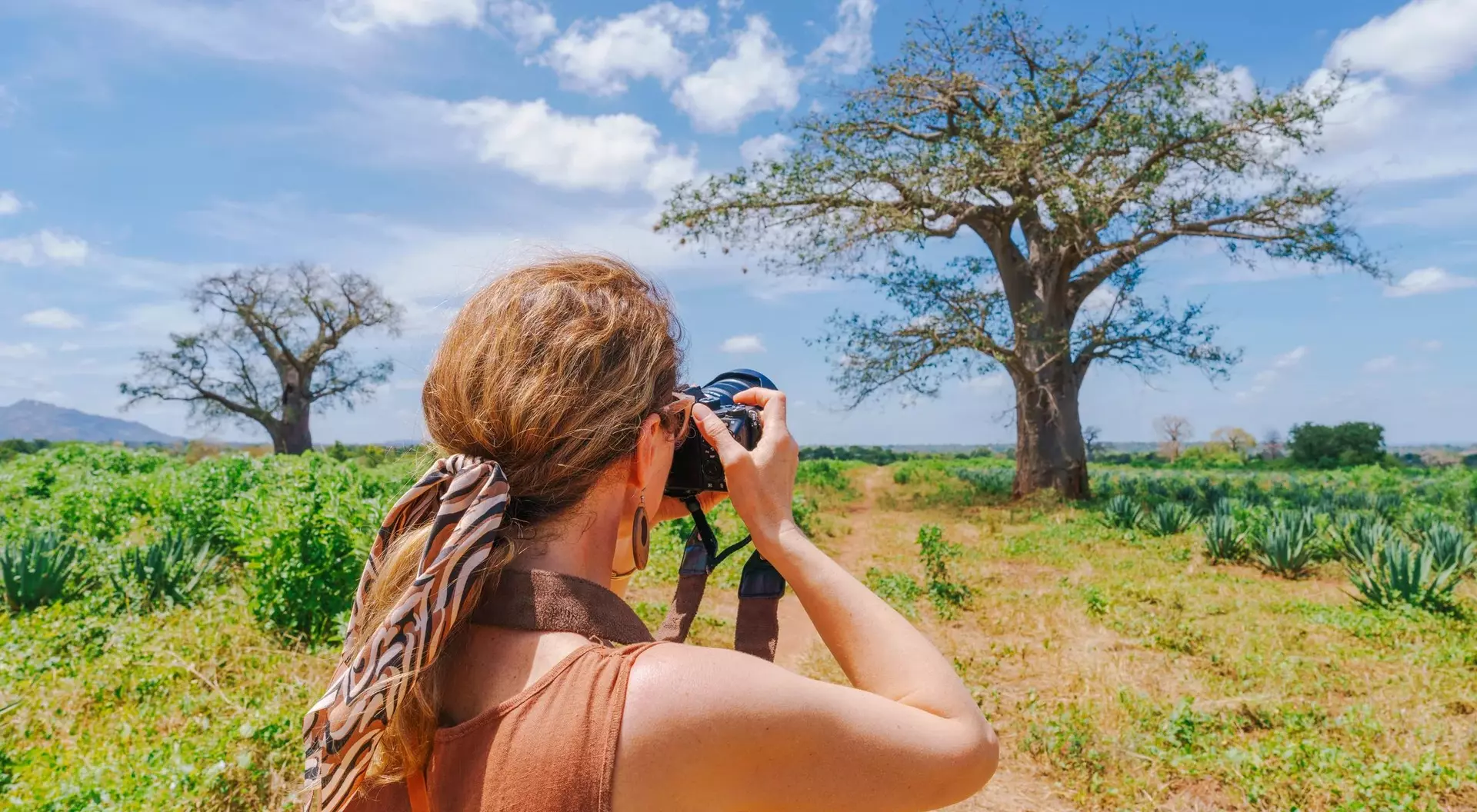 A person with a camera stands in a field, photographing a large tree under a blue sky with scattered clouds.