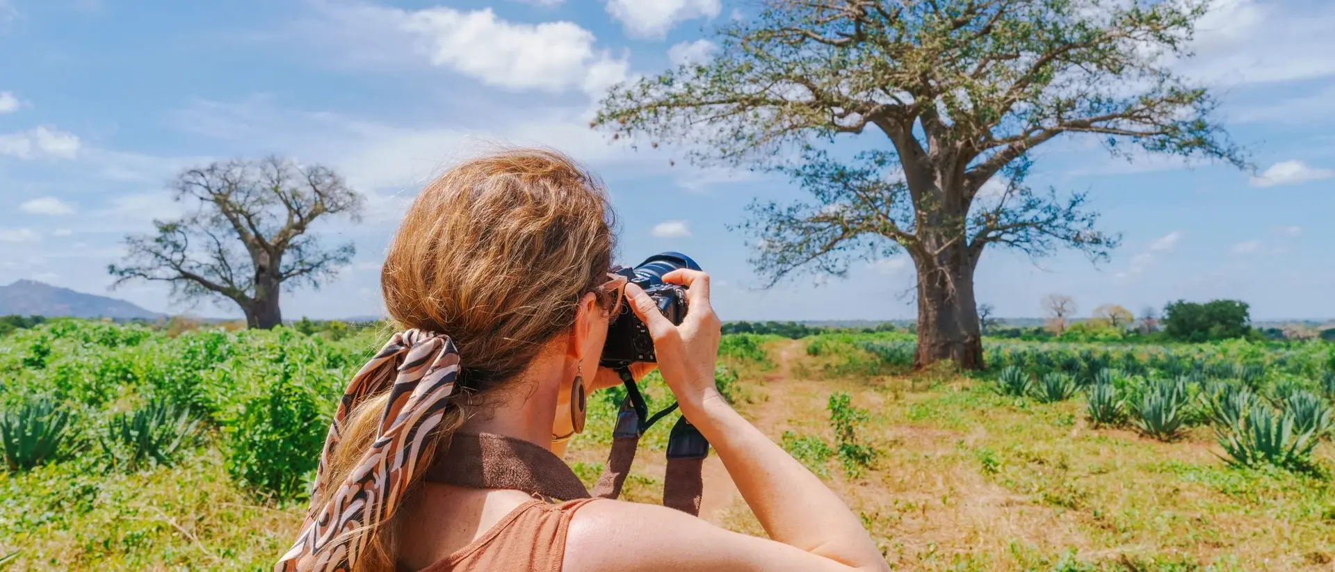A person with a camera stands in a field, photographing a large tree under a blue sky with scattered clouds.