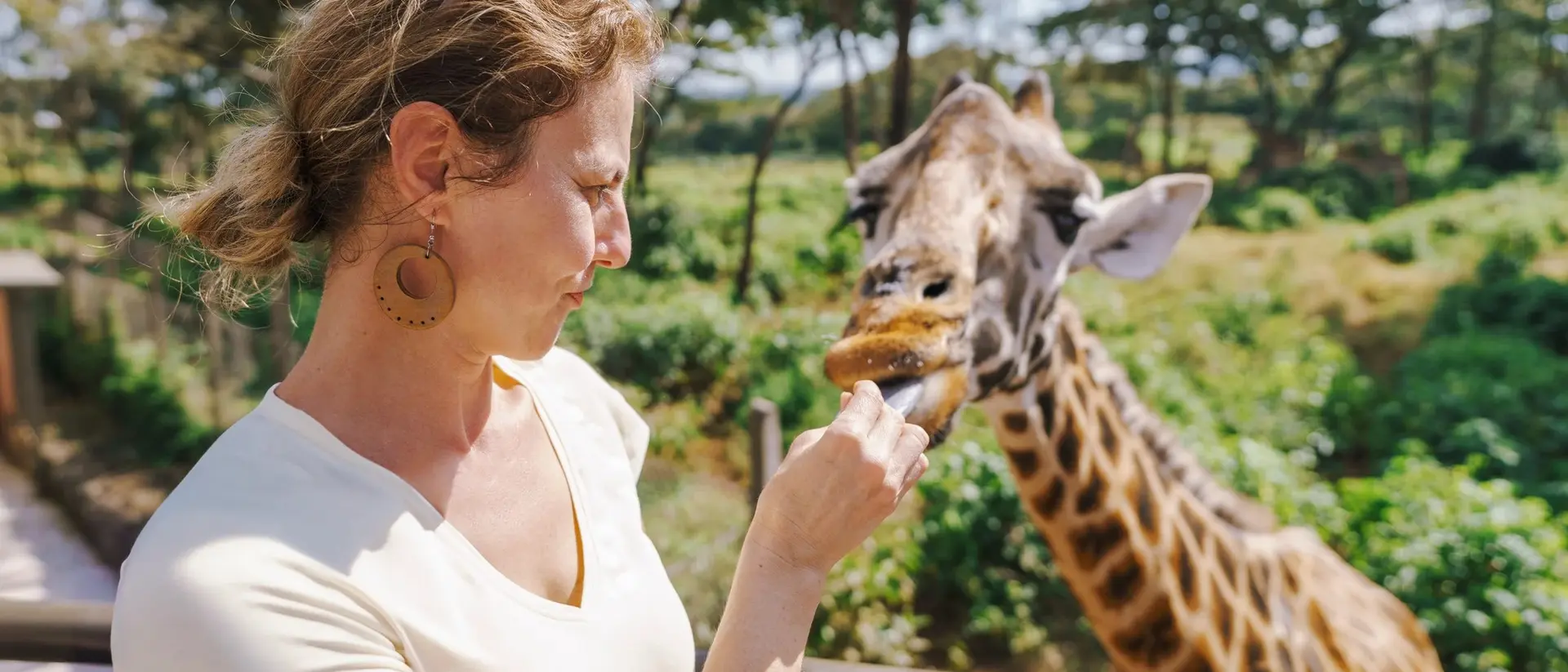 A woman feeds a giraffe from a balcony in a lush outdoor setting.
