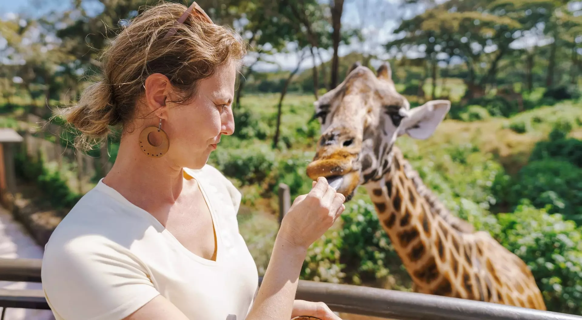 A woman feeds a giraffe from a balcony in a lush outdoor setting.