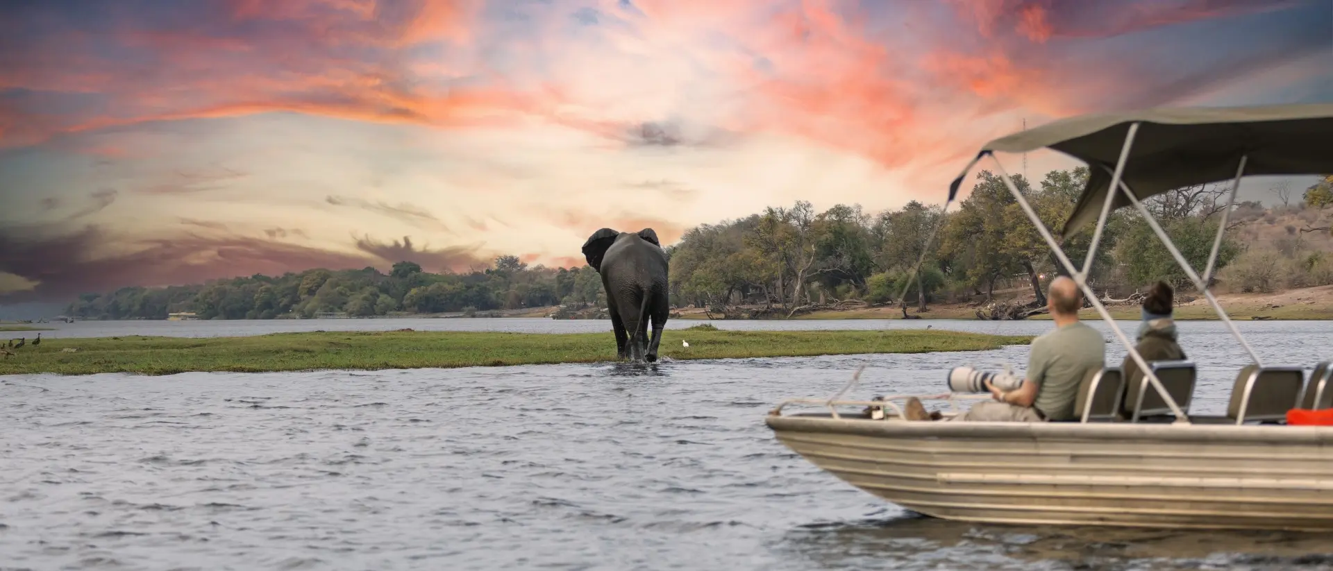 A boat with two people floats on water, watching an elephant near the shore during a colorful sunset.