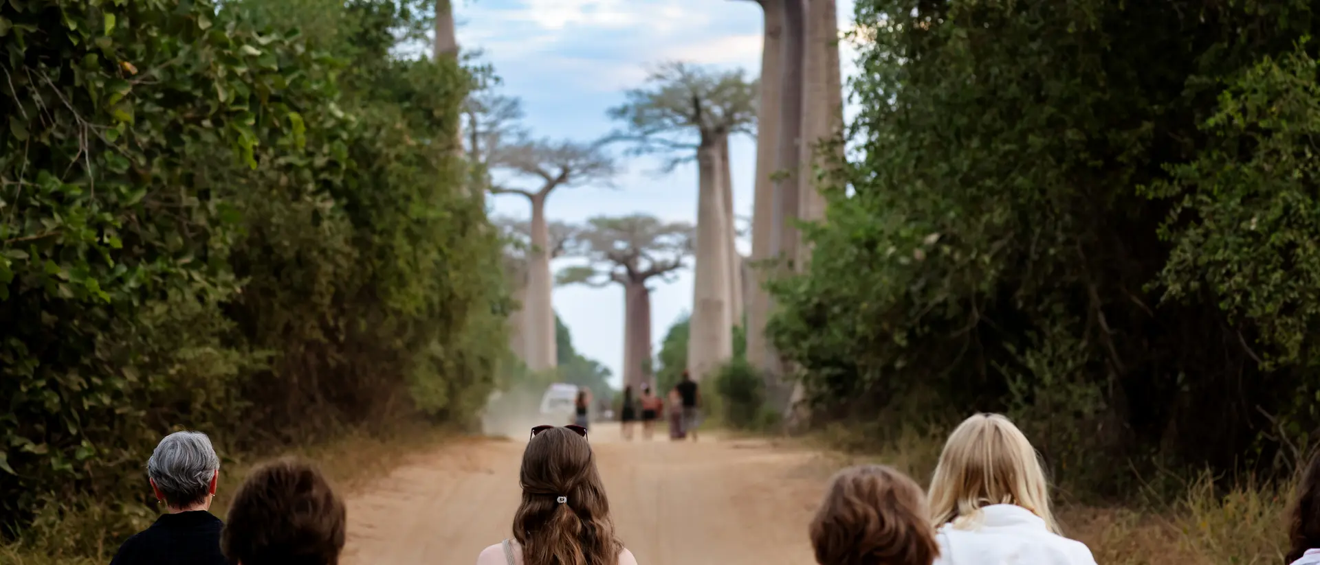 A group of people walks down a dirt path lined with tall baobab trees under a cloudy sky.