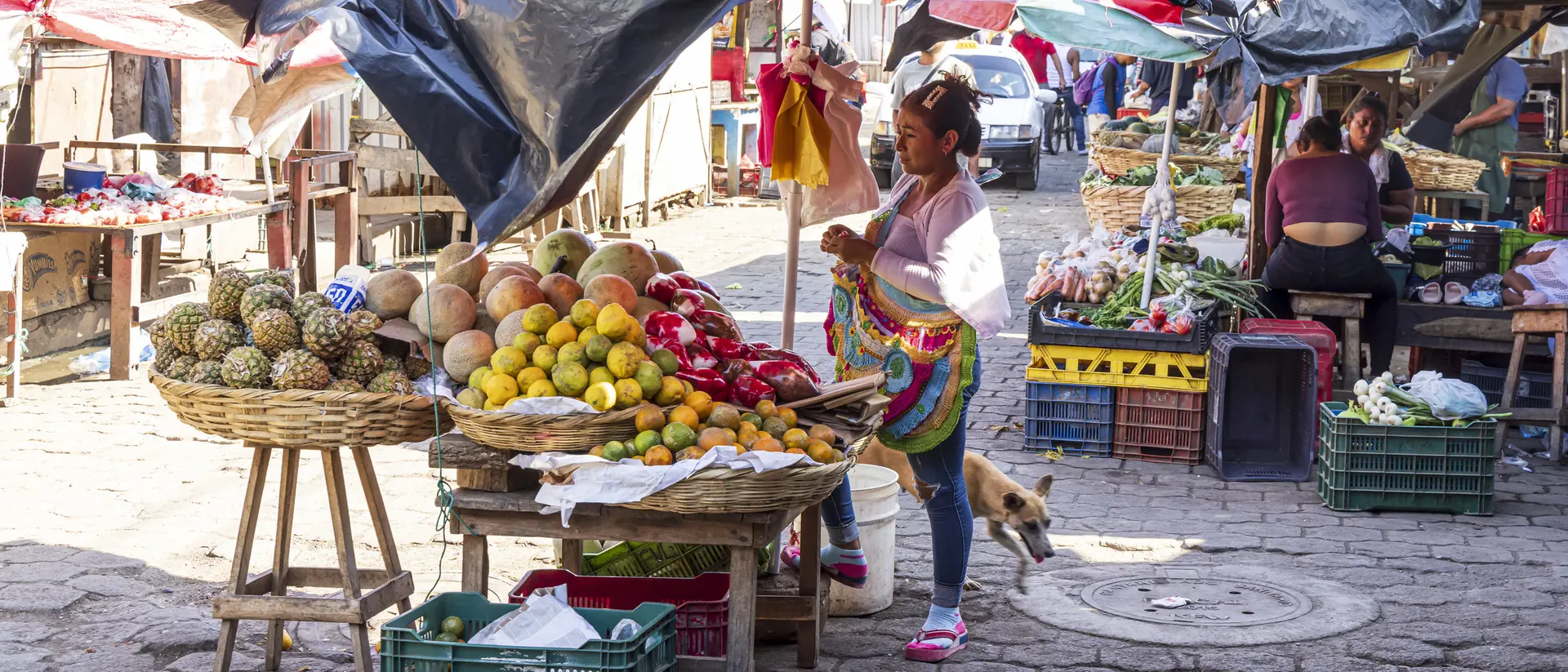 A bustling market scene with a vendor selling fruits under colorful tarps, while a dog wanders nearby.