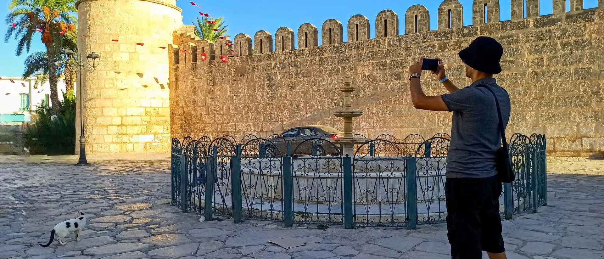 A person takes a photo of a stone tower near a fountain, with palm trees and a cat nearby.