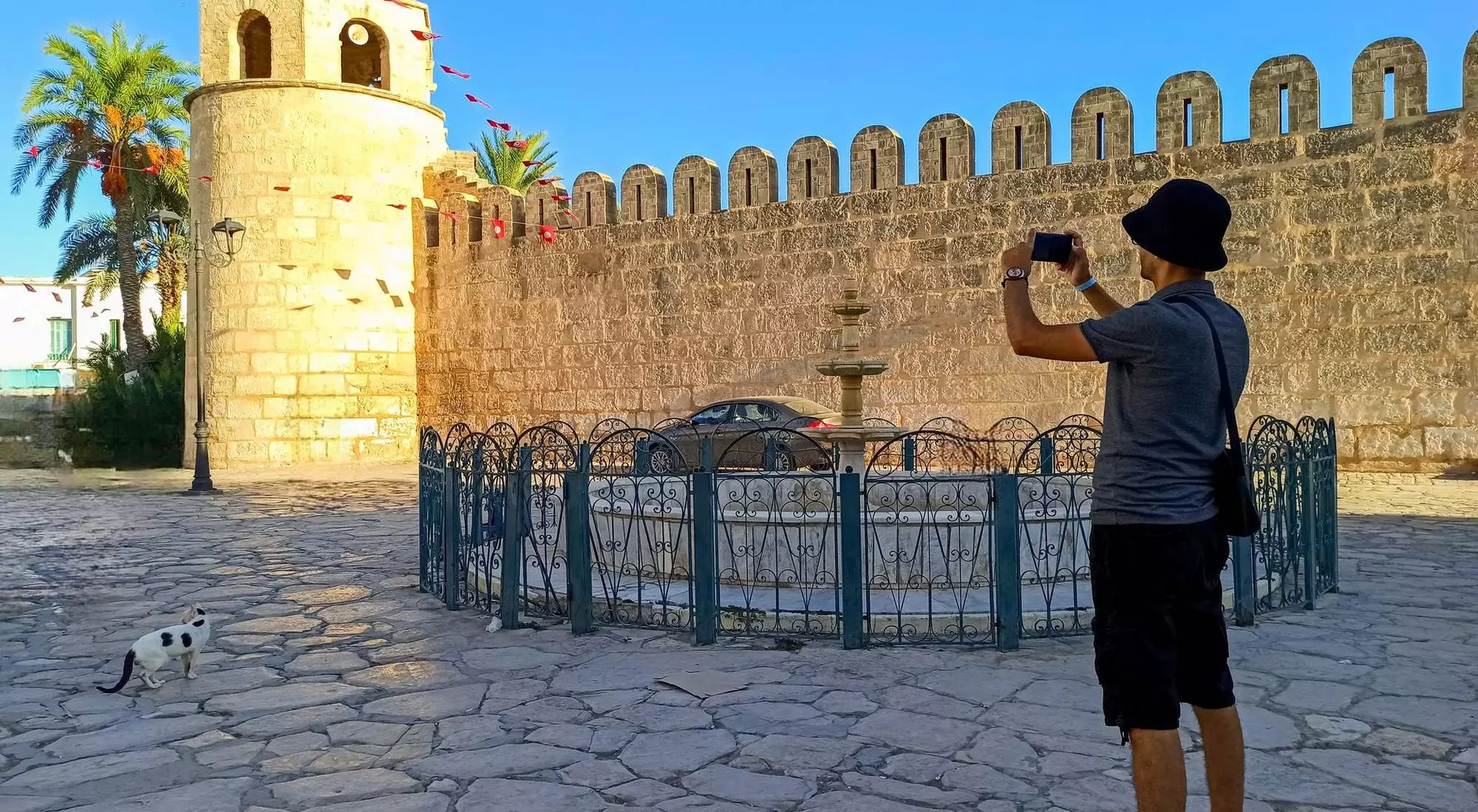 A person takes a photo of a stone tower near a fountain, with palm trees and a cat nearby.