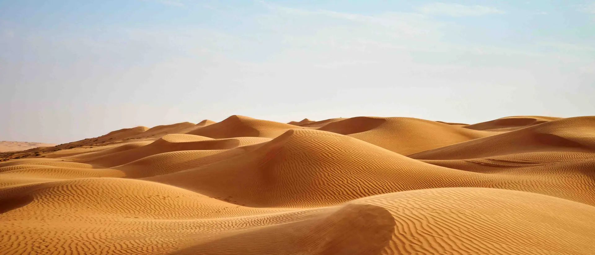 Wind blowing on the desert sand dunes of Oman
