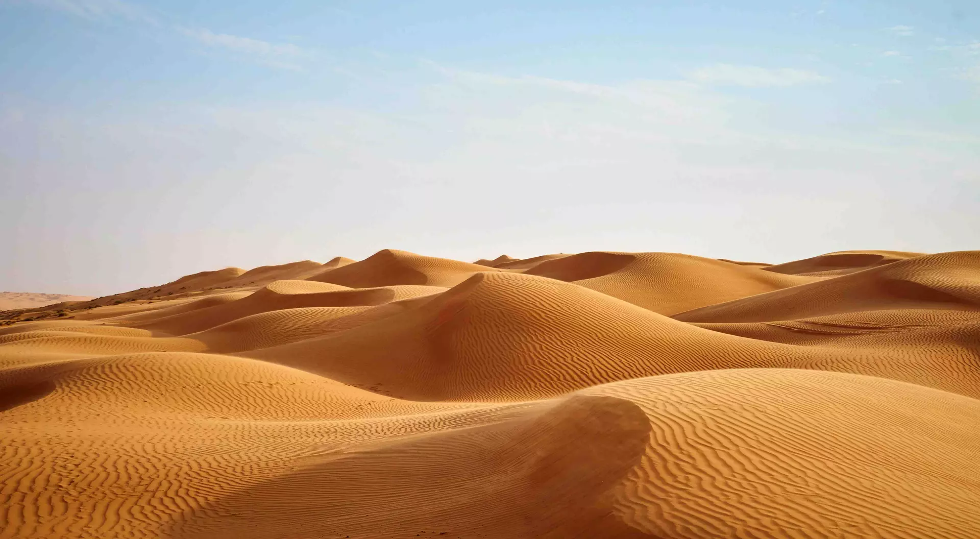 Wind blowing on the desert sand dunes of Oman
