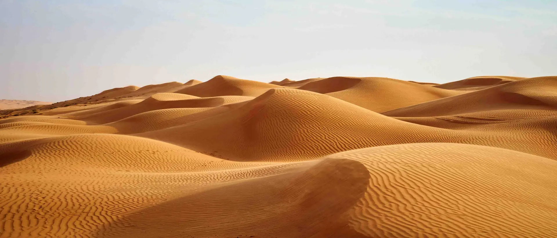 Wind blowing on the desert sand dunes of Oman