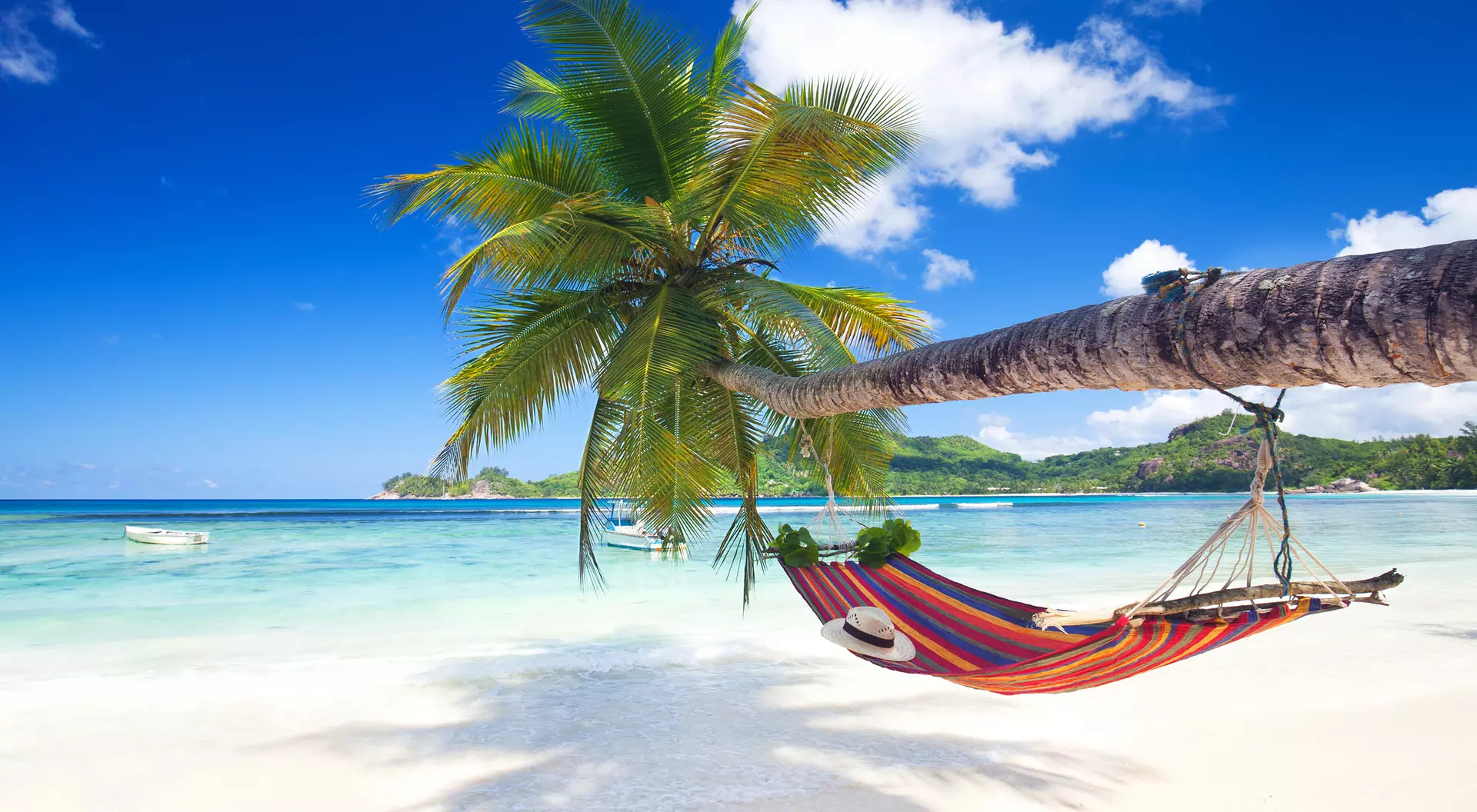 A colorful hammock hangs between palm trees over a serene beach with clear blue water and a bright sky.