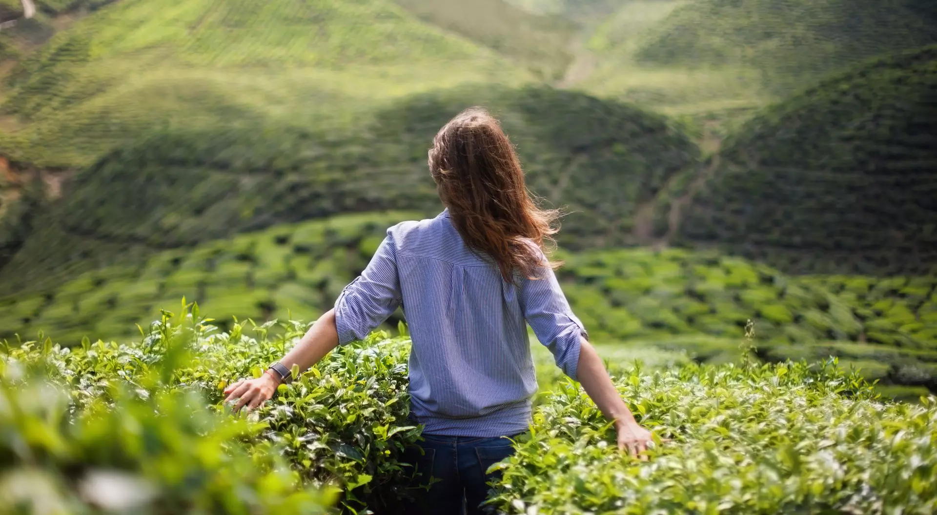 Person with long hair standing in a tea plantation, arms outstretched, facing lush green hills.