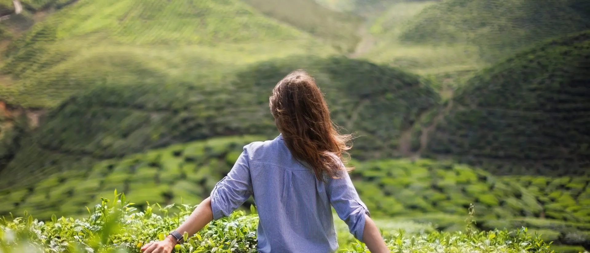 Person with long hair standing in a tea plantation, arms outstretched, facing lush green hills.